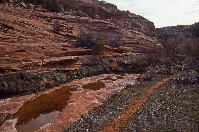2001-04 Utah Trip 027 Canyon on Cedar Mesa.jpg